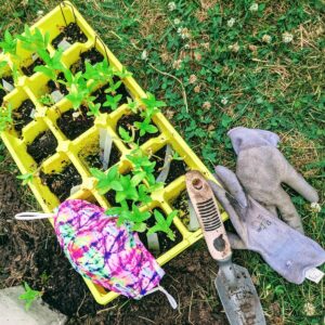 Gardening for Stress Relief & Return to Joy