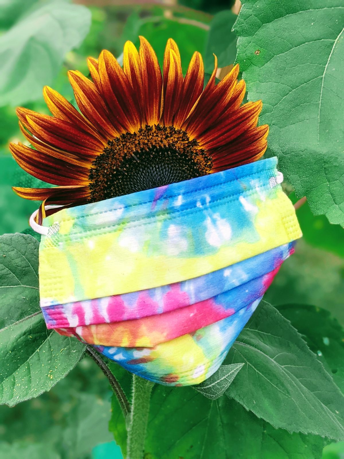 Sunflower in a tie-dye mask / gardening and getting Vitamin D from the sun can help you feel better in cases of mild illness. (Always check with your doctor!)