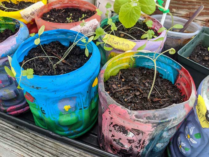 Earth Day Crafts Preschool - Fun Flower Pot Craft with Plastic Bottle Recycled from Gatorade Bottle