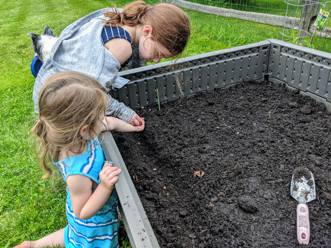 Planting seeds with kids