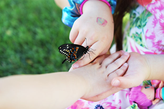 Taking Turns Holding the Butterfly