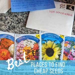 Need Seeds – 10 Places to Get Quality, Cheap Seeds