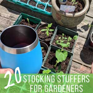 20 Best Stocking Stuffers for Gardeners