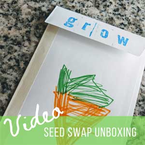 Seed Swap Unboxing: Winter Therapy for Gardeners