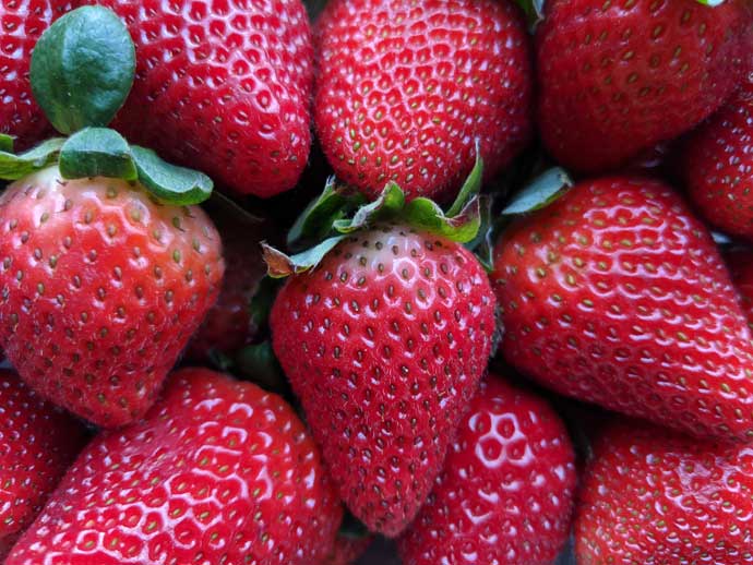 Growing Strawberries from Strawberries - Big Delicious Juicy Red Strawberries Background