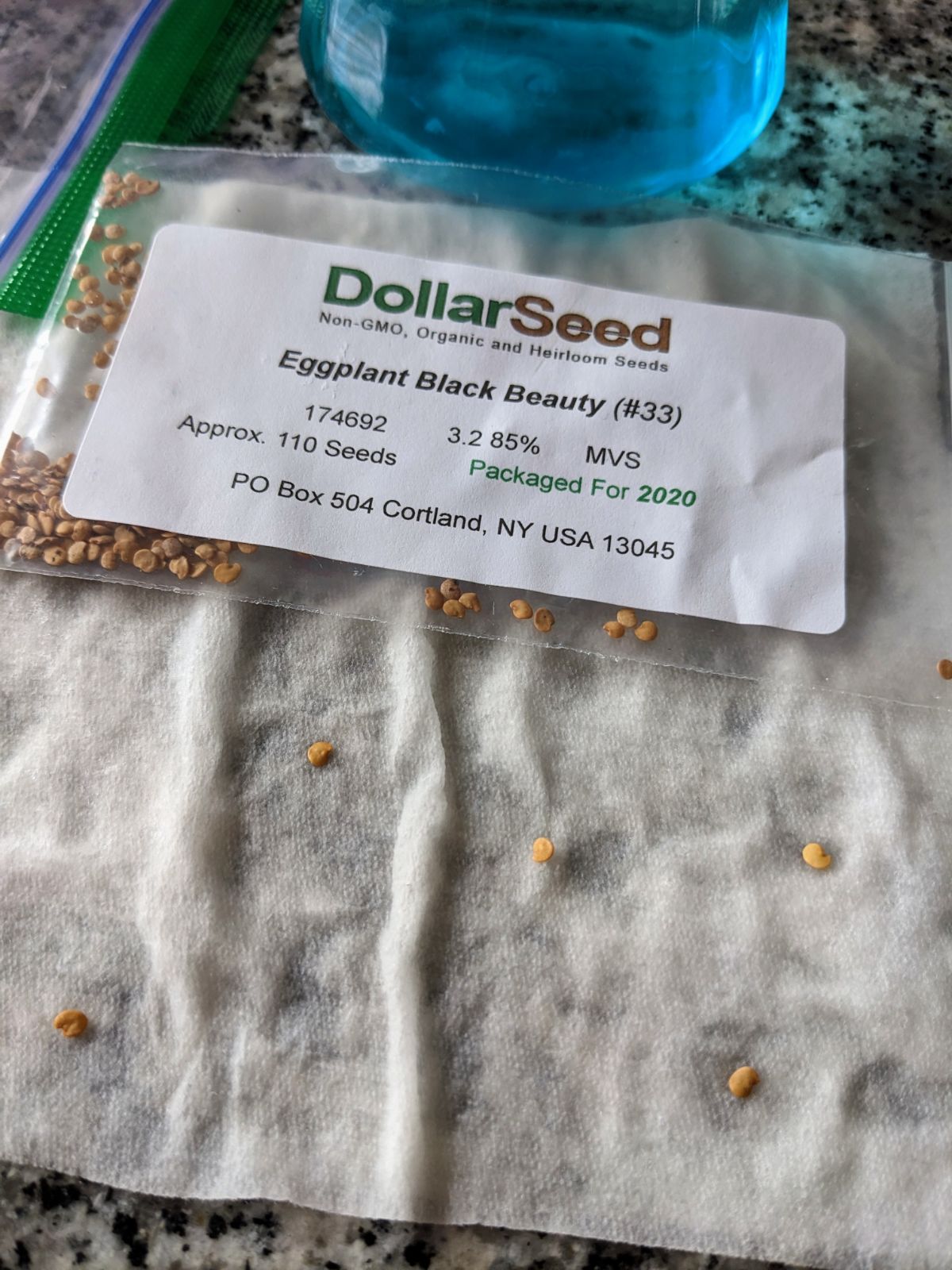 Germinating eggplant seeds with paper towel, ziploc baggie, and water