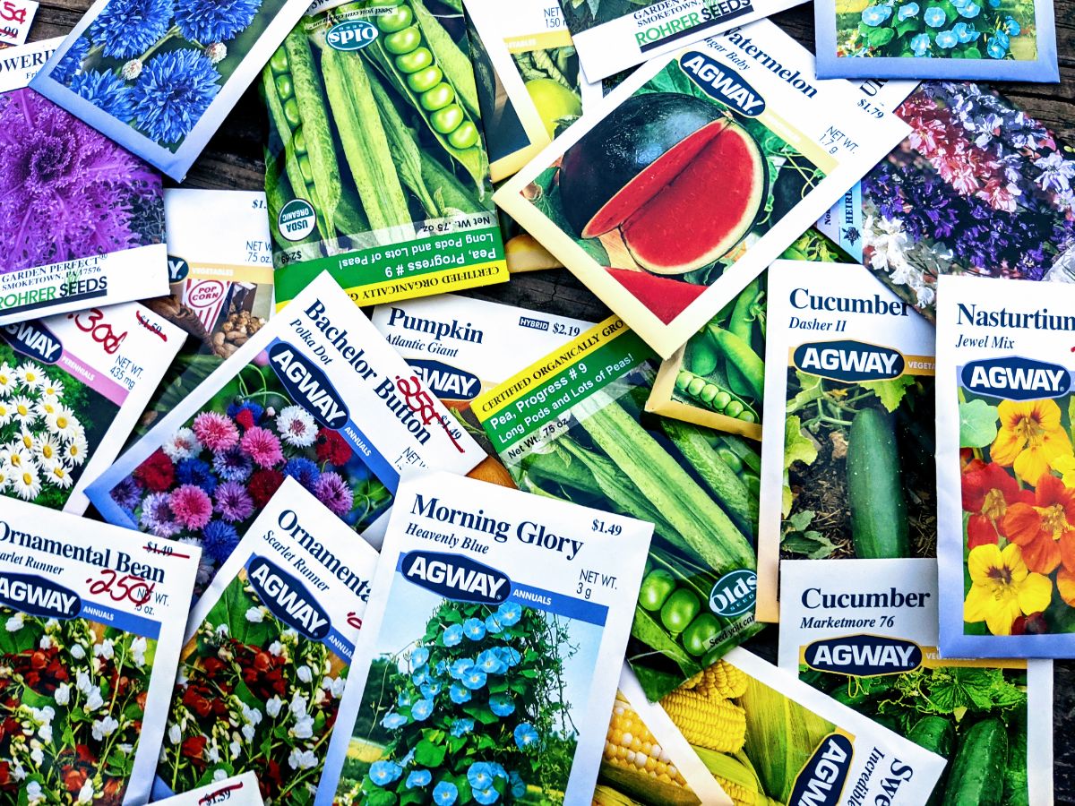 Seeds from my clearance haul at Agway! The girls gave me these for Christmas - the lady helped pick them out over the phone to surprise me!