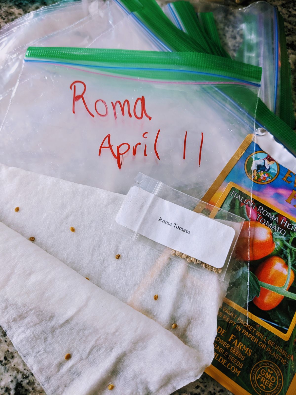 Starting Roma Tomato seeds in wet paper towels