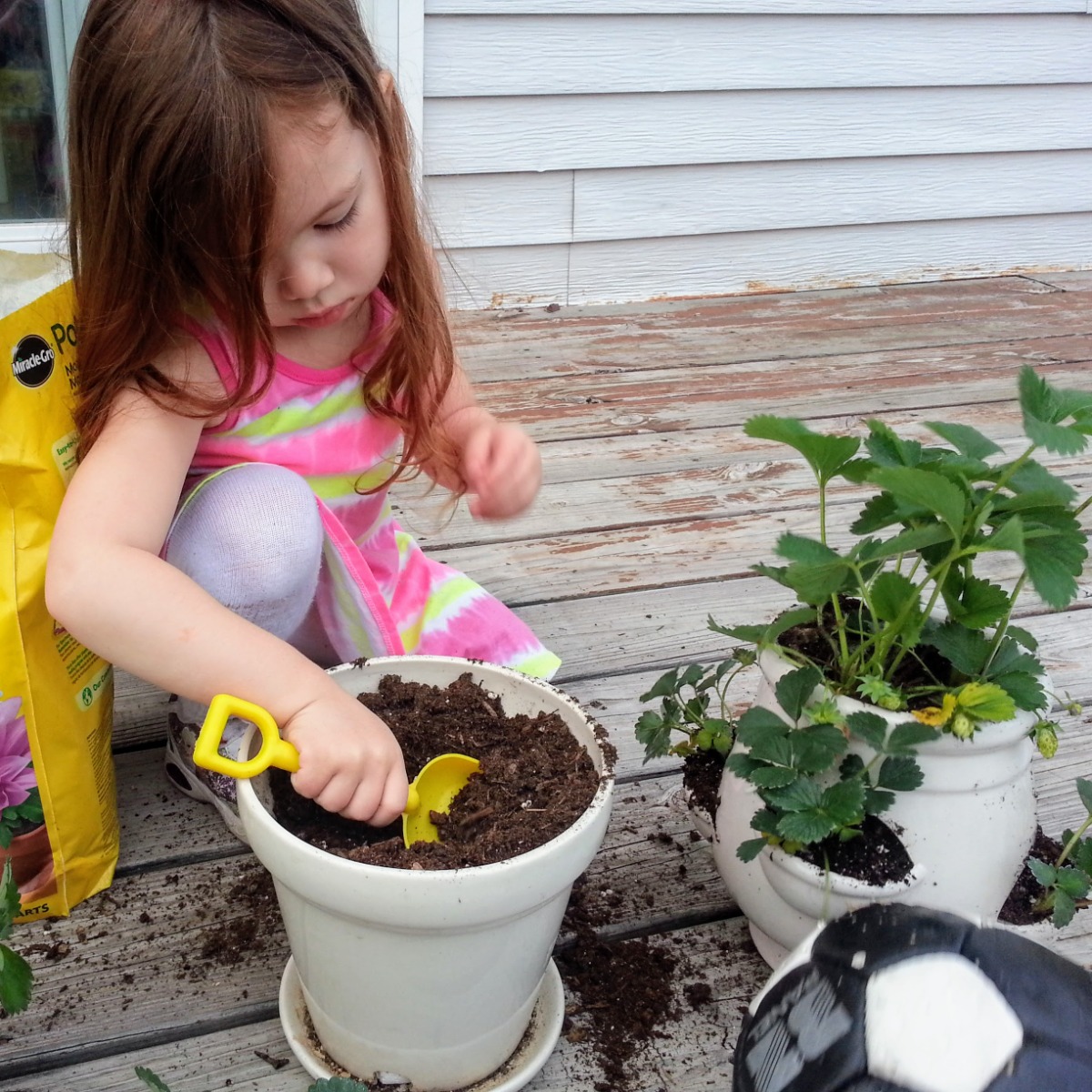 Gardening as a hobby is great even with young kids! Young daughter fills a flowerpot with soil for strawberry plants.