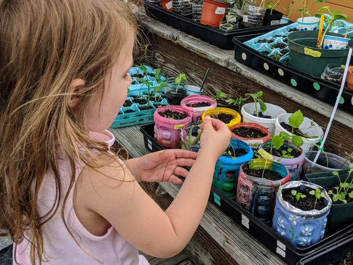 Little Girl Helping Mommy Harden Off Seedlings on the Deck Outside