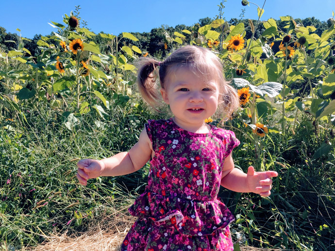 Toddler in a Cut-Your-Own-Sunflower Field