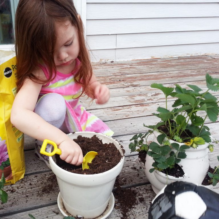Gardening as a Hobby: 16 Epic Benefits + Tips