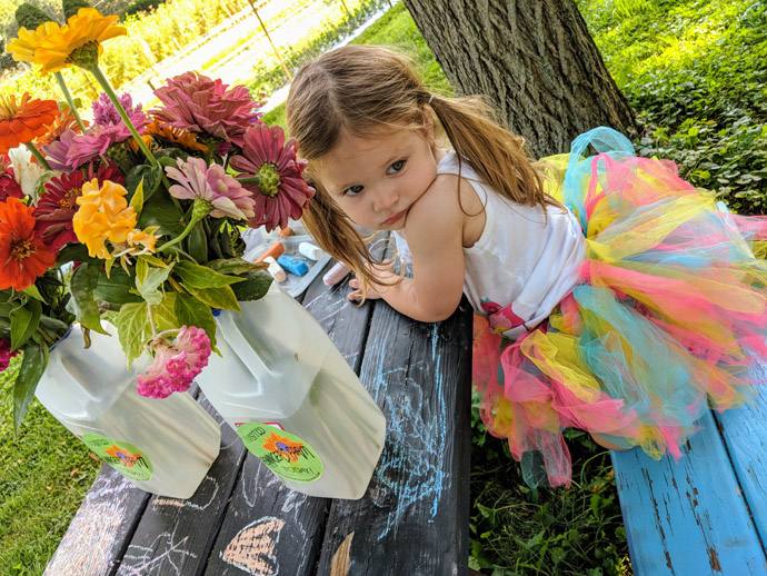 Little Girl in a Tutu with Fresh Picked Zinnias at a Picnic Table