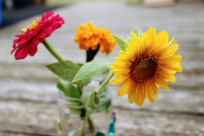 Fresh-cut flowers including Dwarf Sunflowers in a glass jar vase on a wooden deck