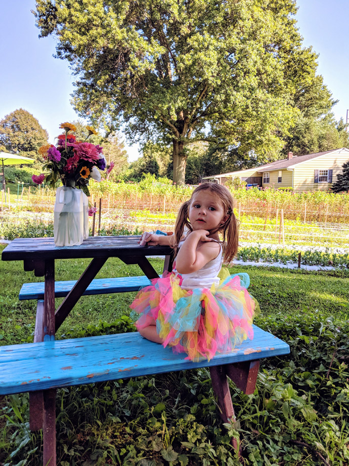 Little Girl in a Tutu at a Picnic Table with a Bouquet of Pick-Your-Own Zinnias Flowers