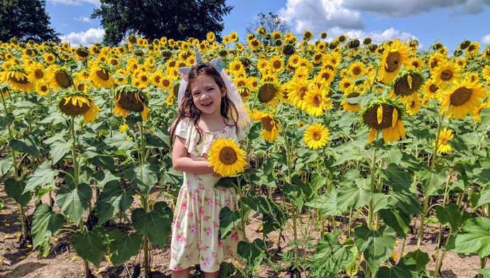 Young Girl in a Sunflower Field wearing a dress and holding a flower