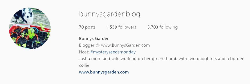 Bunnys Garden on Instagram