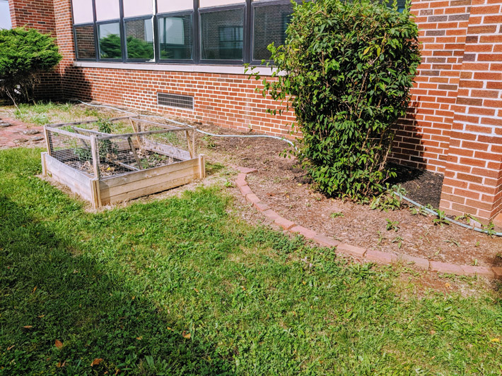 Raised beds in a school garden - Social Benefits of Gardening - Be a Mentor!