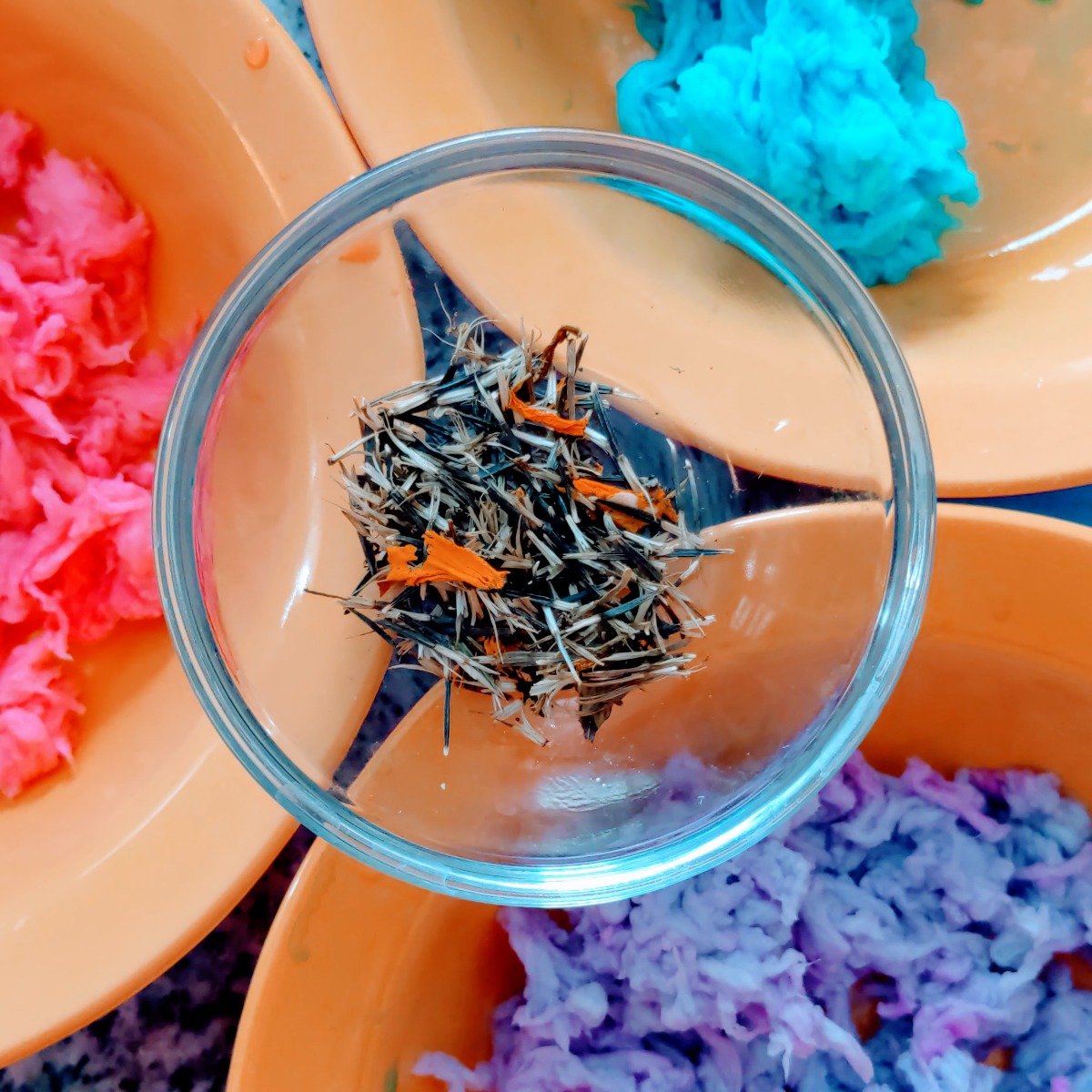 Three orange plastic bowls of bright colored dyed tissue and a dish of marigold seeds for making Plantable Art Seed Paper.