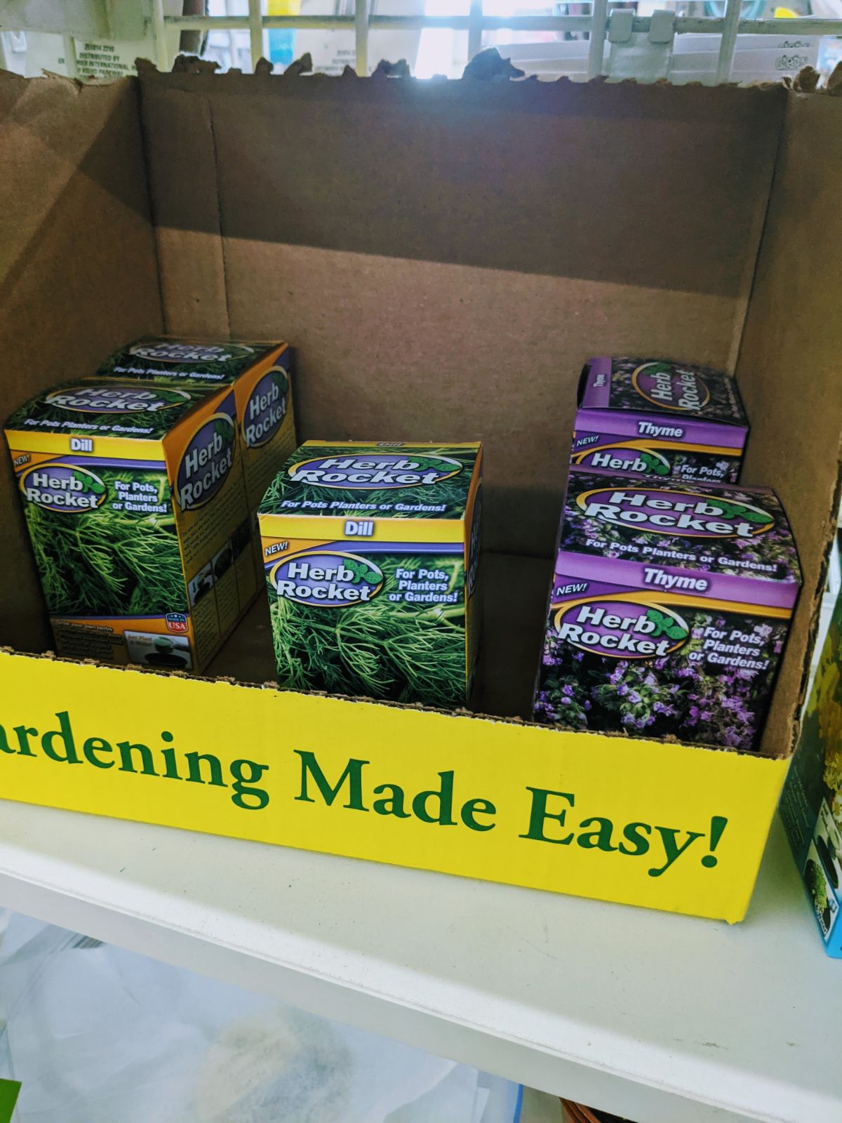 Herb Rockets at the Dollar Tree