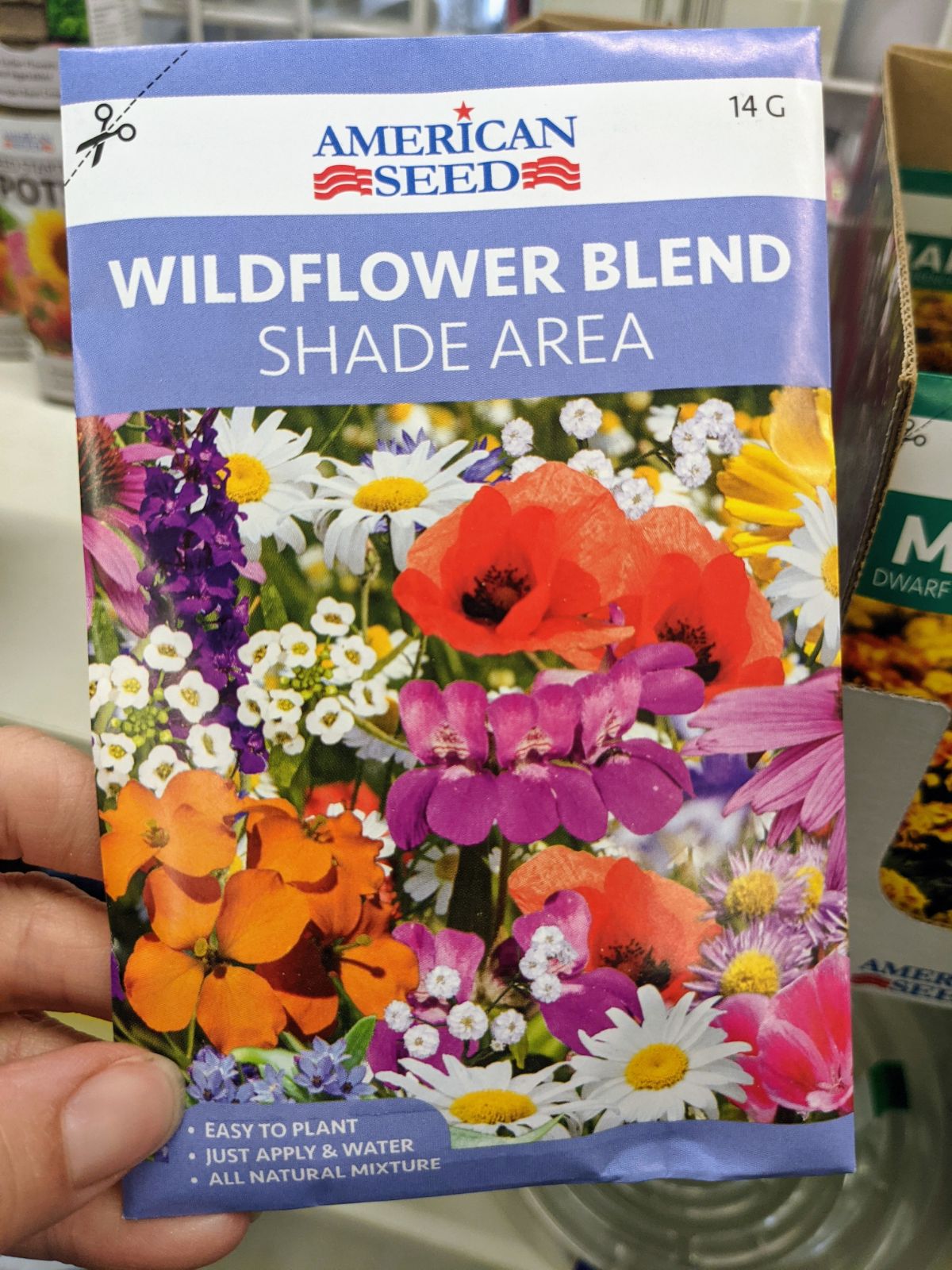 Dollar store wildflower shade mix