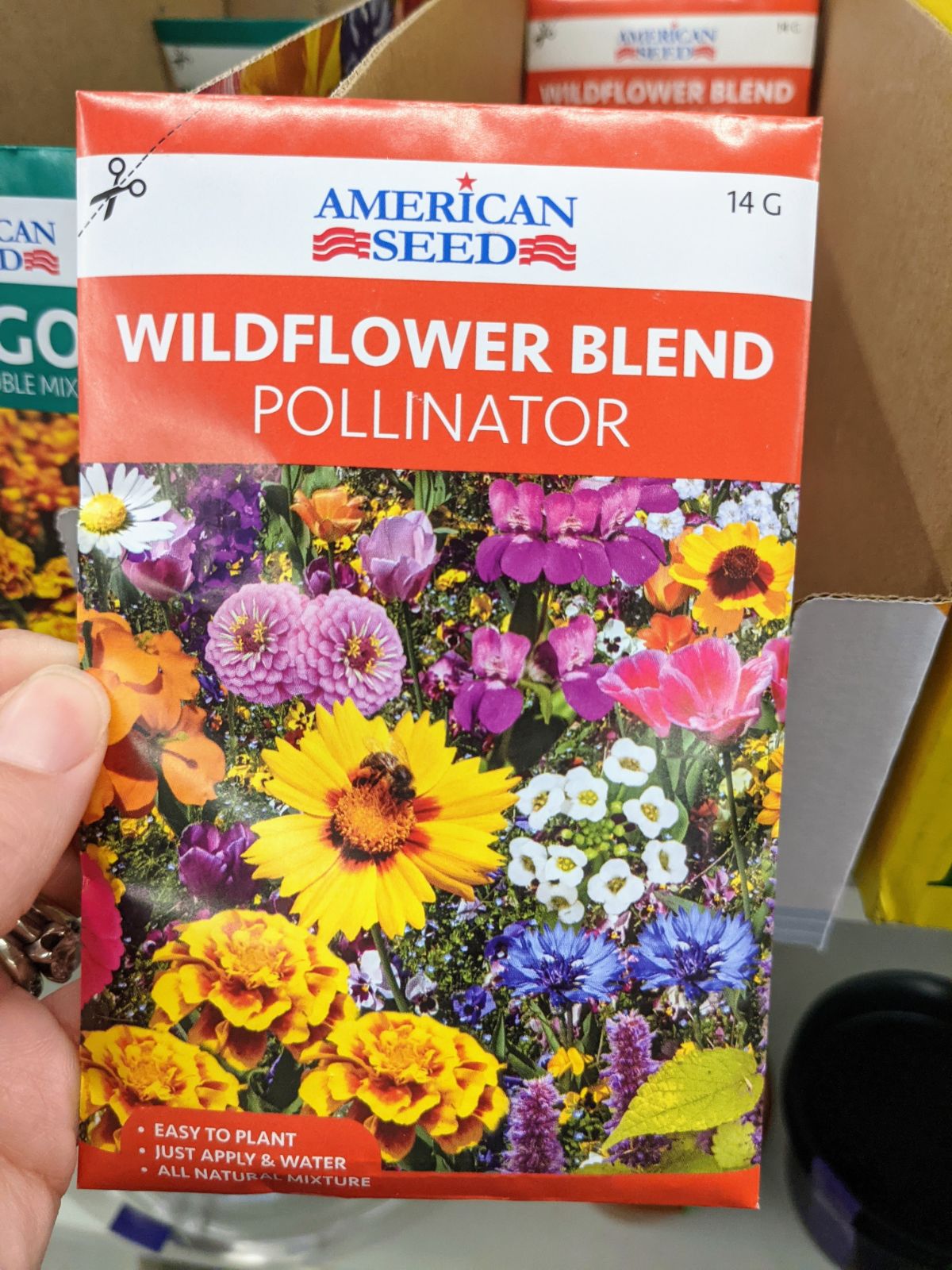 Dollar Tree Wildflower Seeds Pollinator Mix