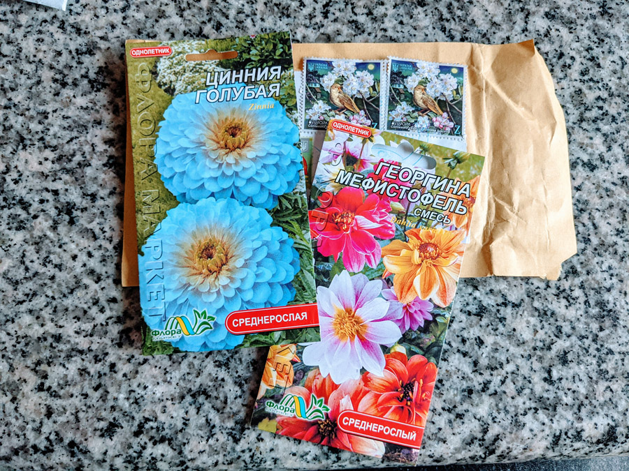 Blue Zinnias Flower Seeds from the Ukraine