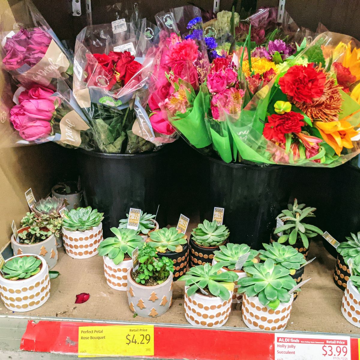 Succulents and bouquets of flowers for sale at Aldi in December 2021