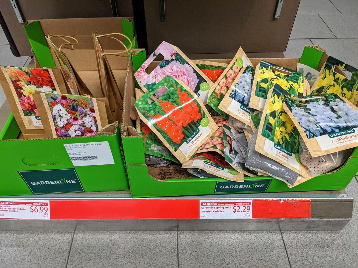 Aldi Garden Line Perennial Flower Bulbs for sale in Cardboard Boxes