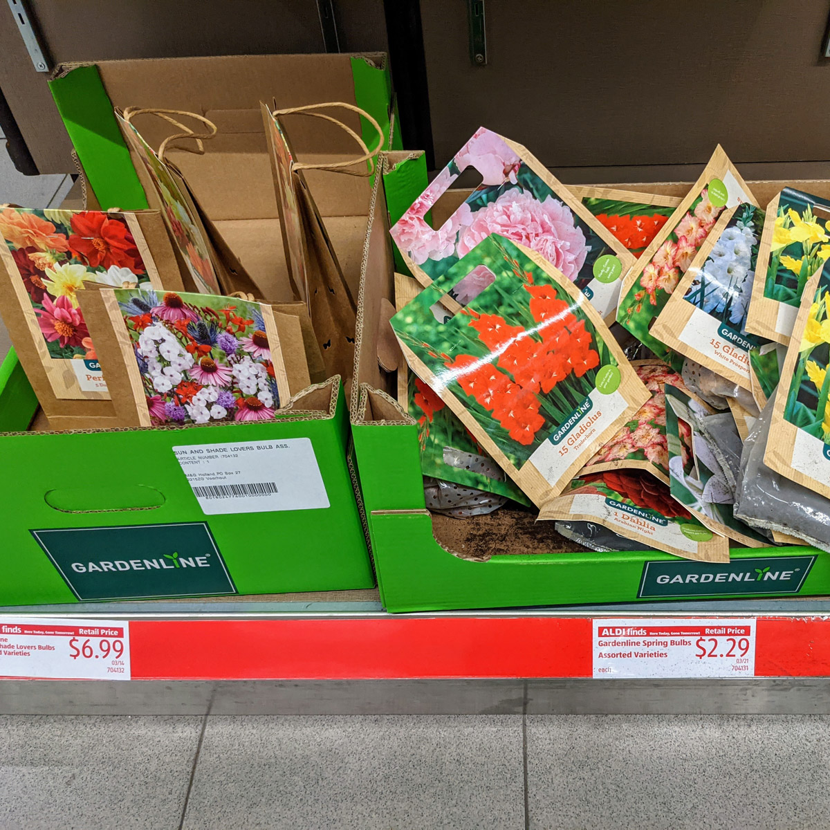 ALDI Gardenline Fab Finds Bulbs Plants UPDATED Bunny s Garden