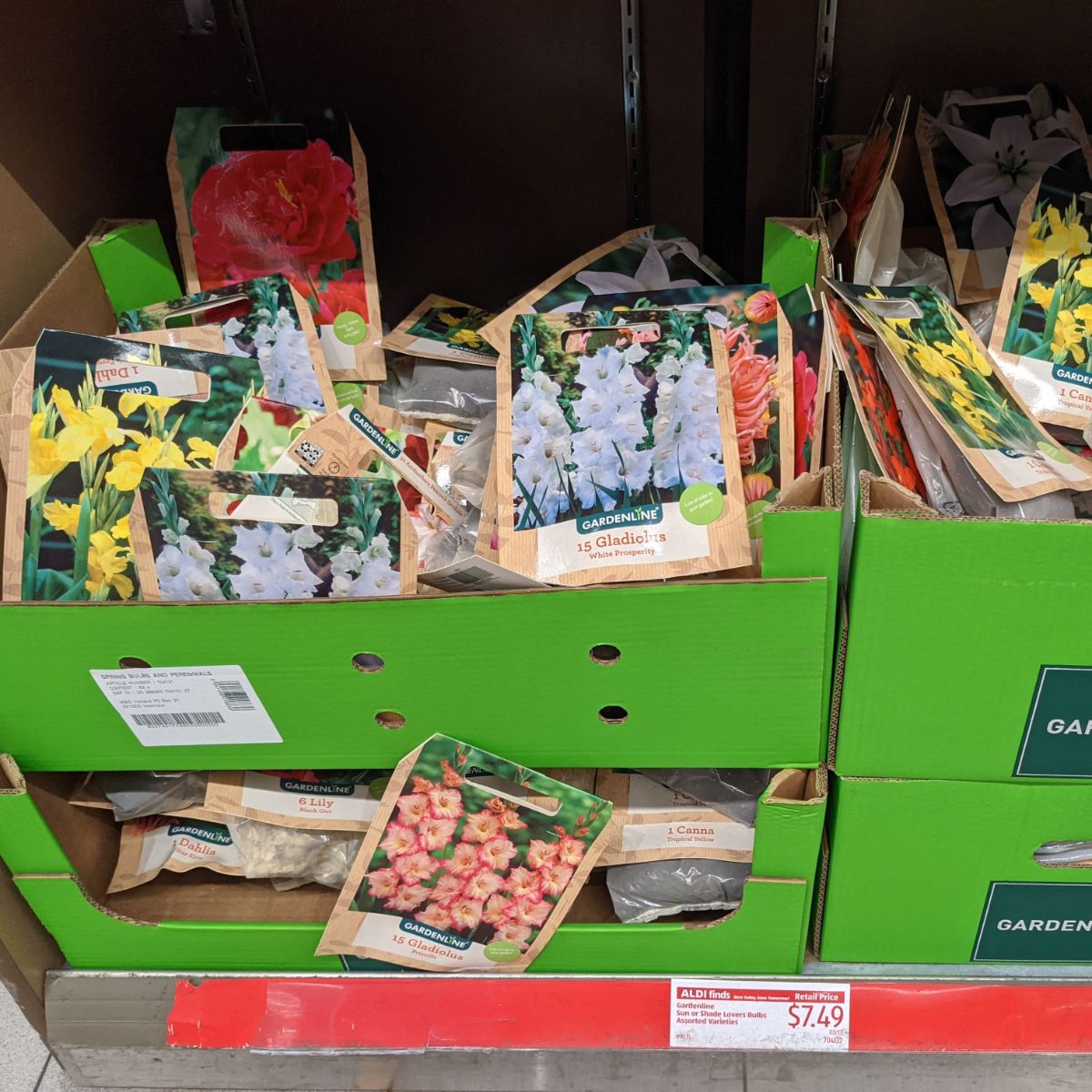 Big selection of flower bulbs for sale at Aldi - April 6, 2022
