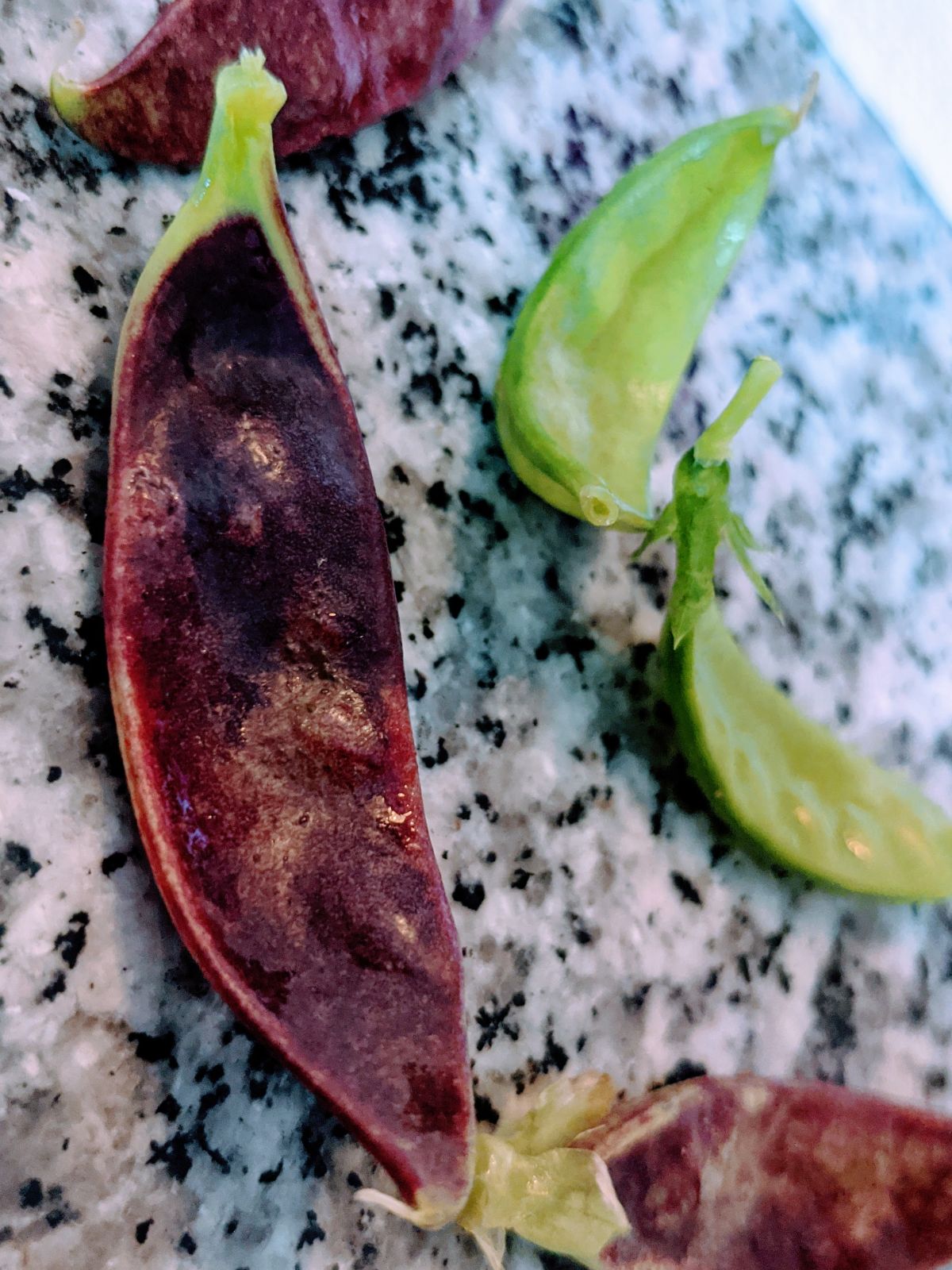 Beauregarde purple podded snow peas and some mammoth melting snow peas