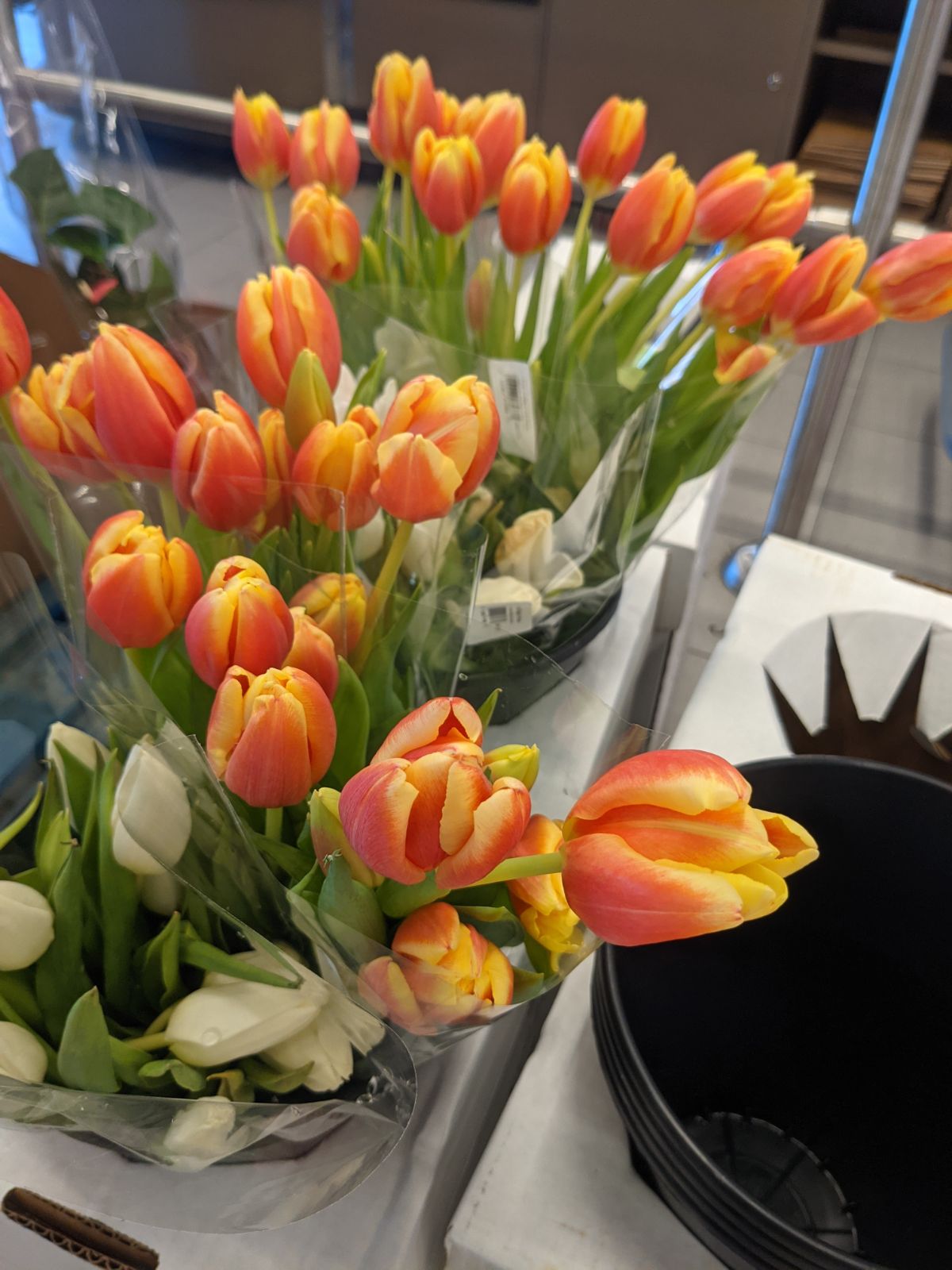 Bouquets of yellow and reddish coral tulips at Aldi