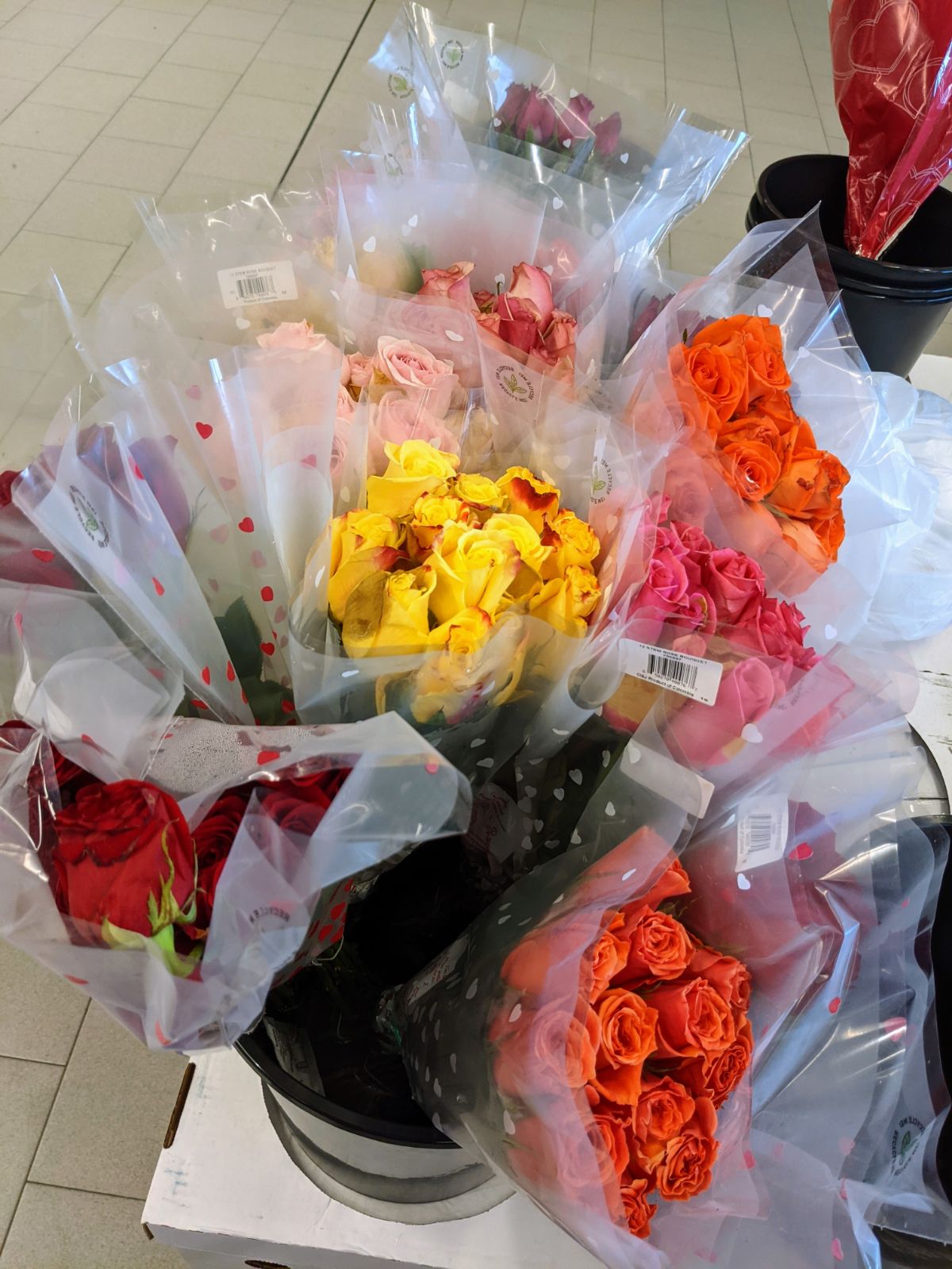 Colorful bouquets of roses at Aldi for Valentine's Day - yellow, pink, orange, red, coral