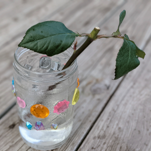 Growing Roses from Cut Flowers Tutorial - Rose Cuttings in a Glass Jar with Rhinestones on a Wooden Deck