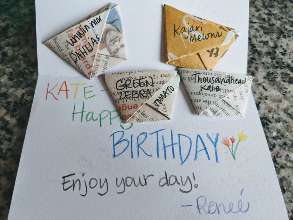 Origami cup Seed Envelopes with a Birthday Card