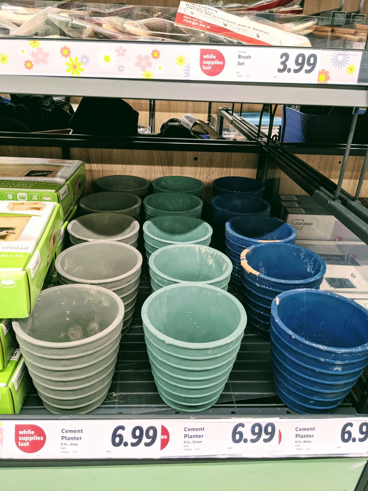 Lidl flower pots in nautical colors (Royersford, PA, February 2023)