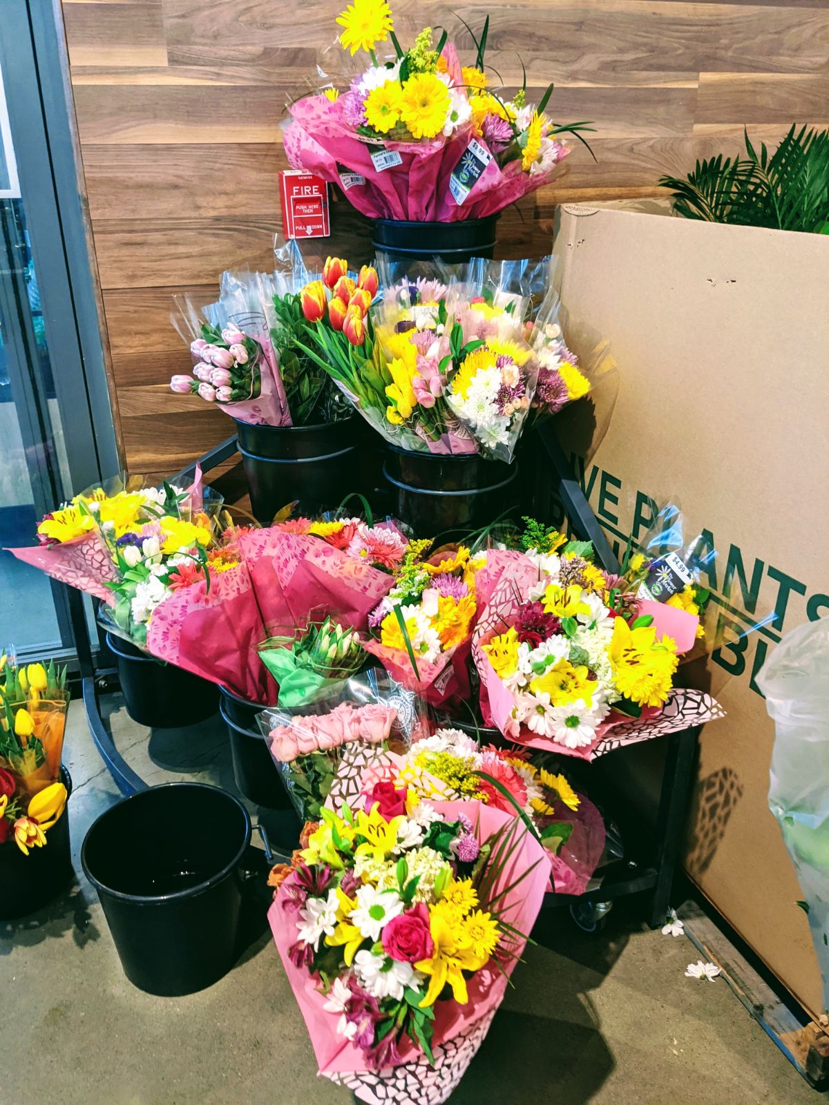 Lidl fresh flowers in bouquets for sale at Lidl Royersford Feb 22