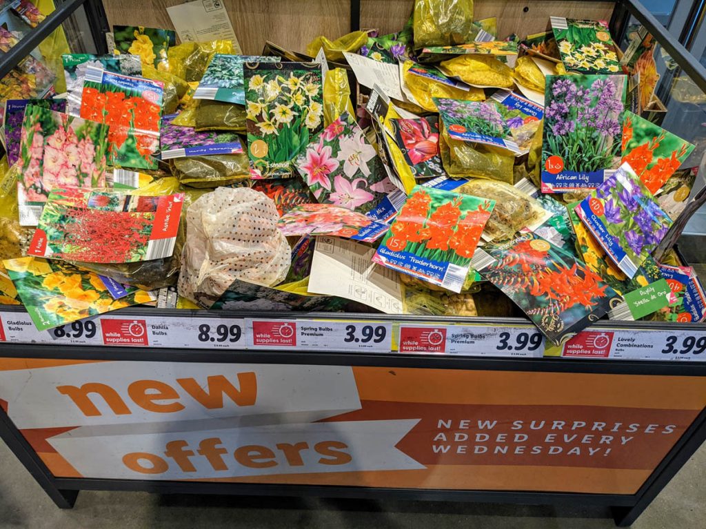 Lidl Garden Offers - Spring Bulbs Blowout - Bin of bulbs for sale, including lilies, gladiolus and more