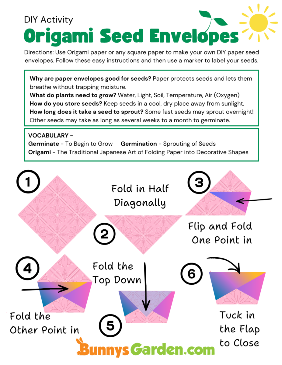 Instruction worksheet for DIY Origami seed packets workshop