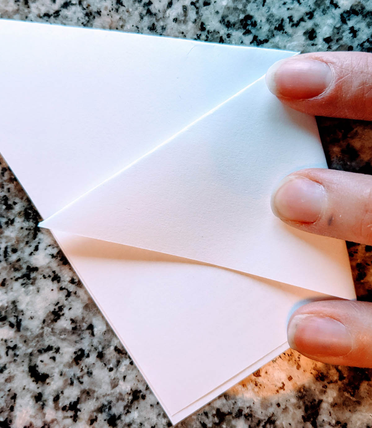 Folding an origami cup to use as a seed envelope