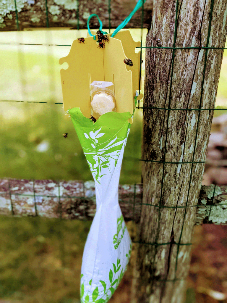 Spectracide Japanese Beetle Trap with Beetles