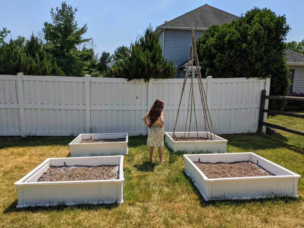 Daughter standing amid white raised garden boxes and bamboo teepee trellis
