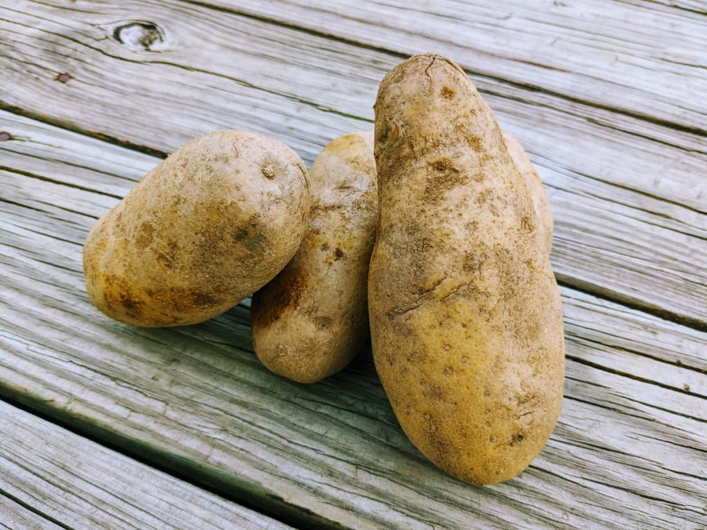Potato Harvest on wooden deck