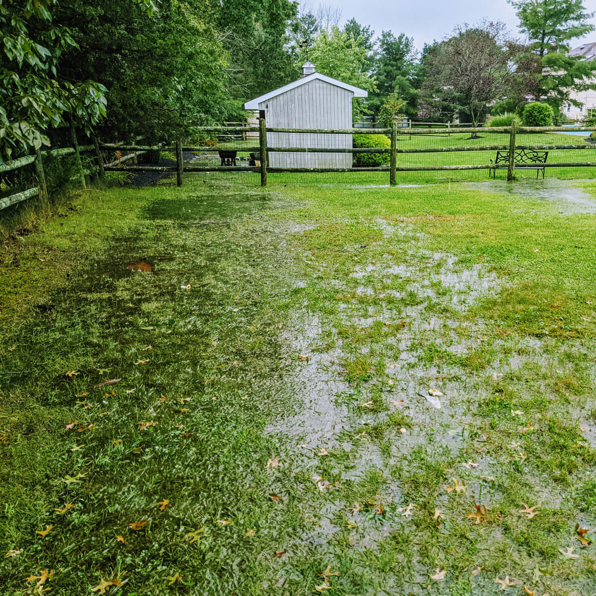 Flooded backyard in 2021 after a big rain storm, standing water near neighbor's shed