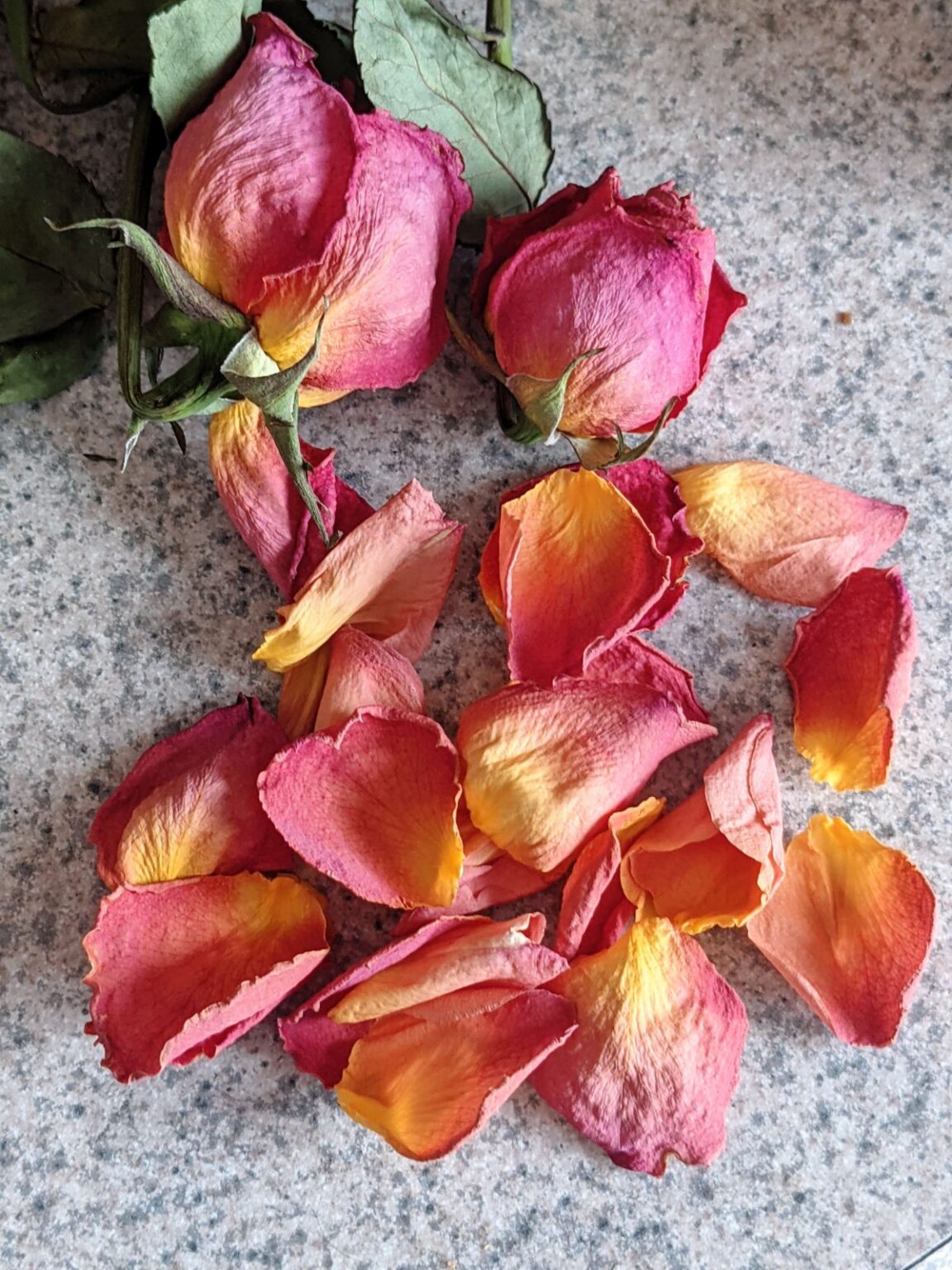 What to Do with Rose Petals 21 Rose Petal Uses (Fresh & Dried)