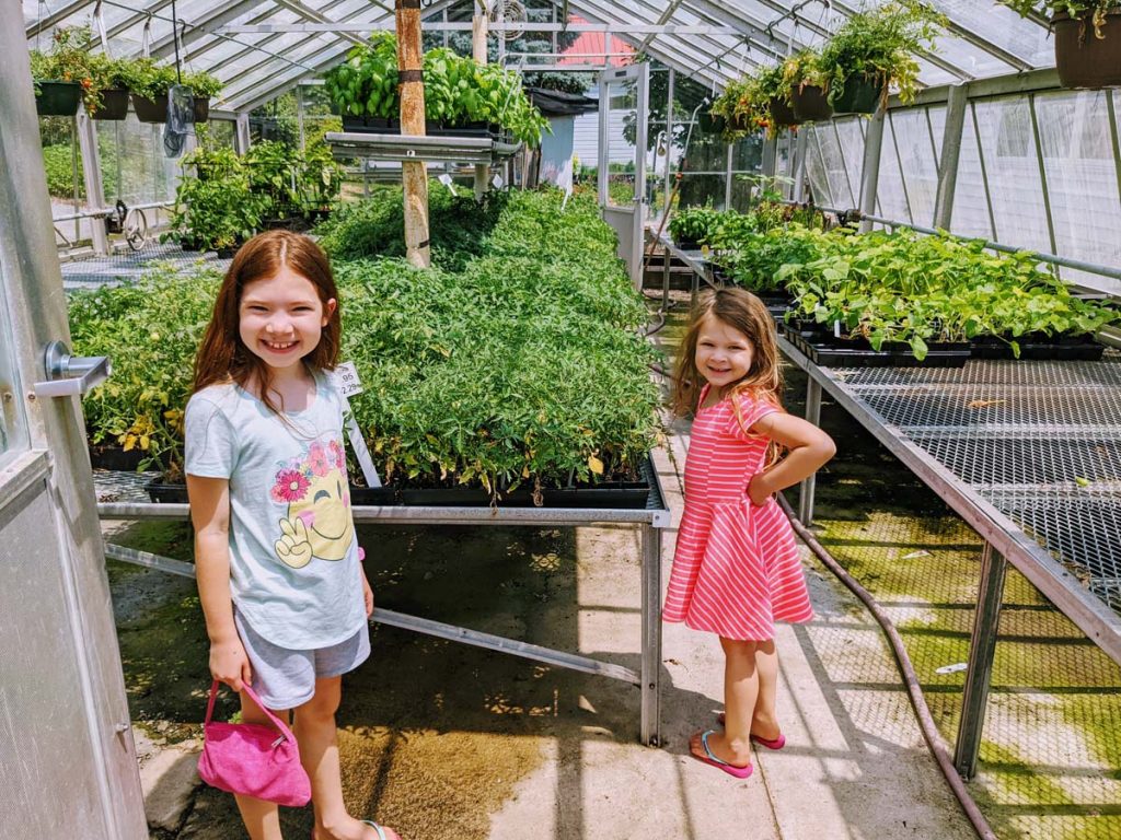 Girls in the Greenhouse - I wish we had one of our own!
