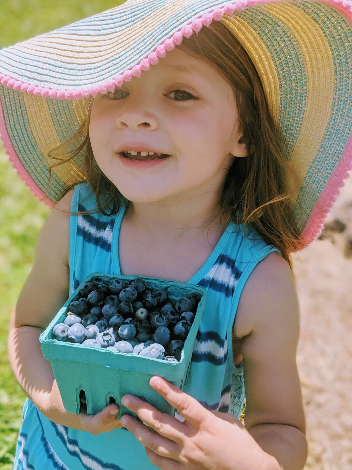 Youngest Daughter Picking Blueberries at a Farm