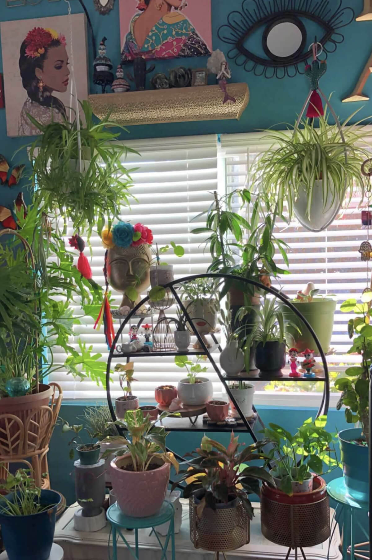 Dining Room Aesthetic Plants Arrangement - photo courtesy of @lachulachuleta on Instagram