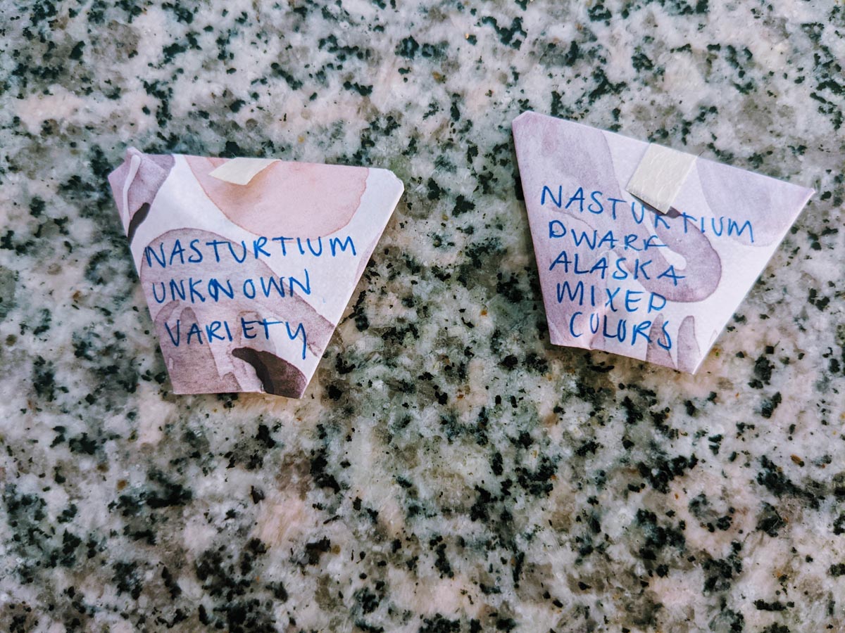 Nasturtium Seed Envelopes Handwritten and Folded Like Origami Cups on Granite Table